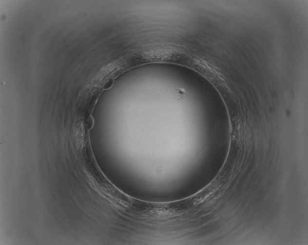 X0000068810498200605121254