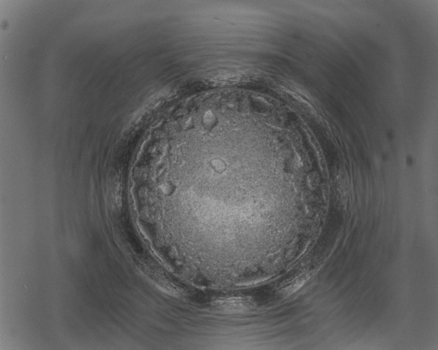 X0000068810499200605121254