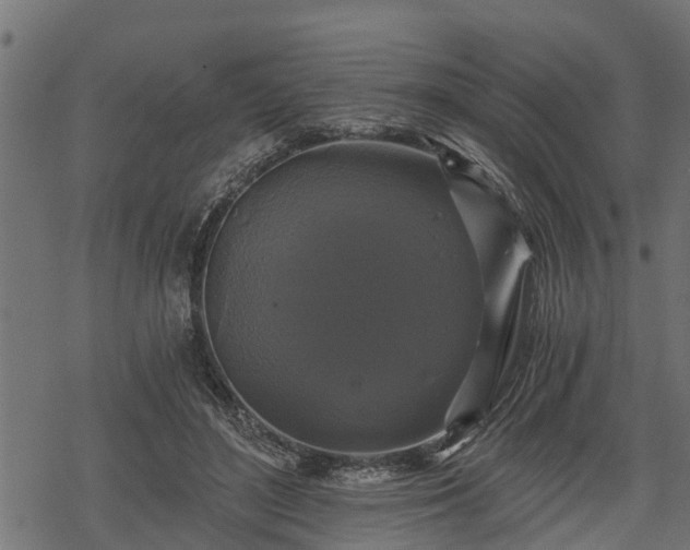 X0000068810500200605121254