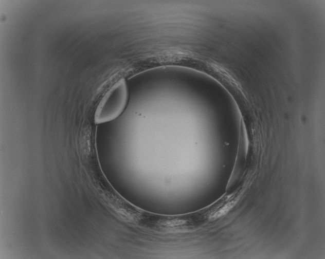 X0000068810501200605121254