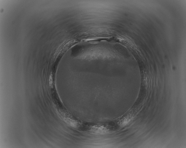 X0000068810502200605121254