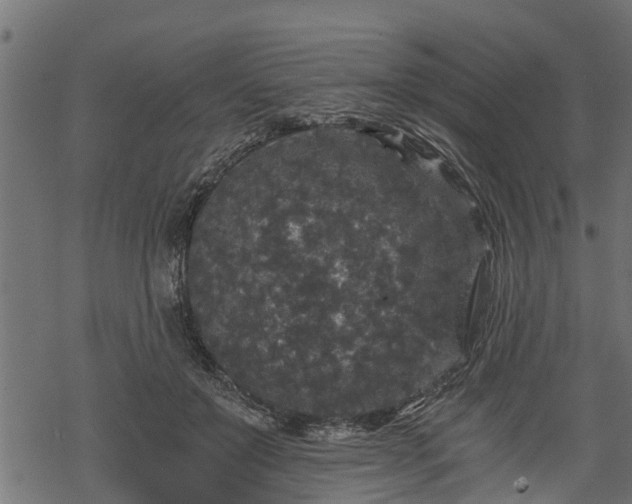 X0000068810503200605121254