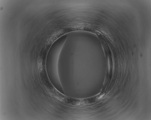 X0000068810504200605121254