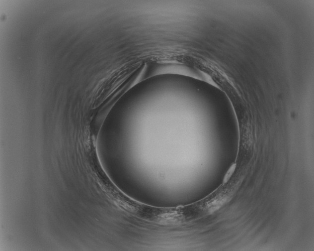 X0000068810505200605121254