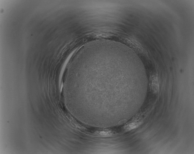 X0000068810506200605121254