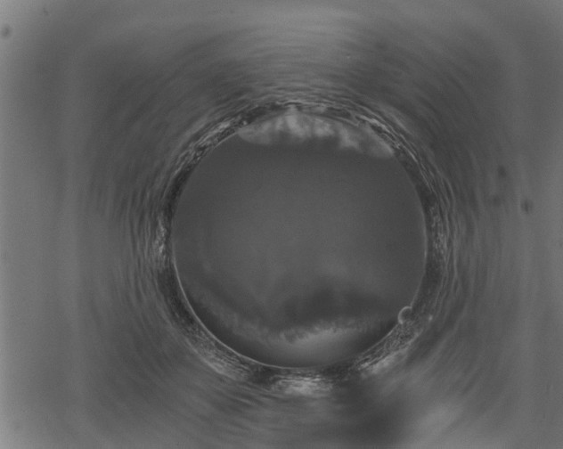 X0000068810507200605121254