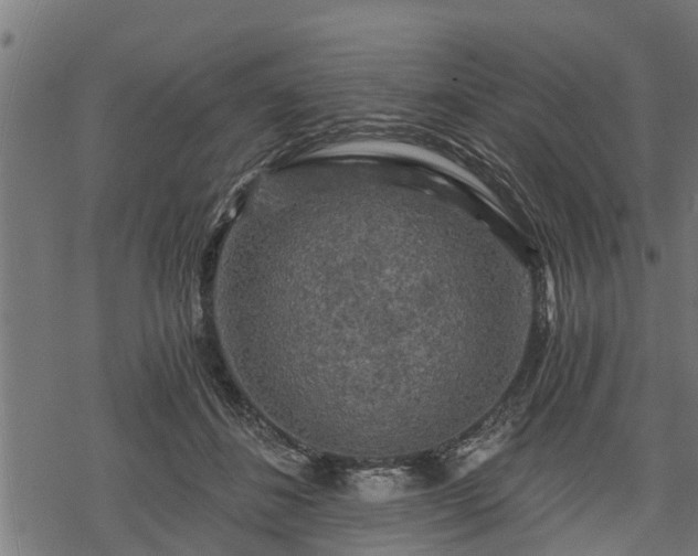 X0000068810508200605121254