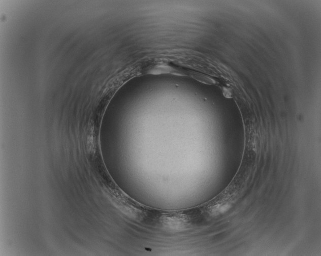 X0000068810510200605121254