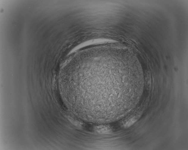 X0000068810511200605121254