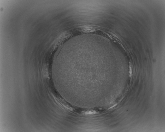 X0000068810512200605121254