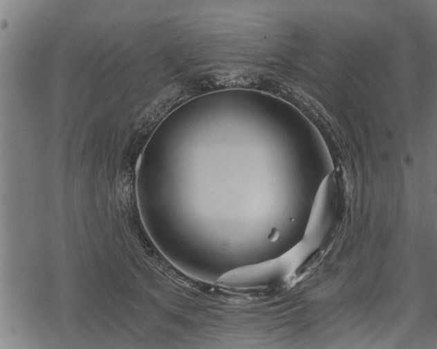 X0000068810513200605121254