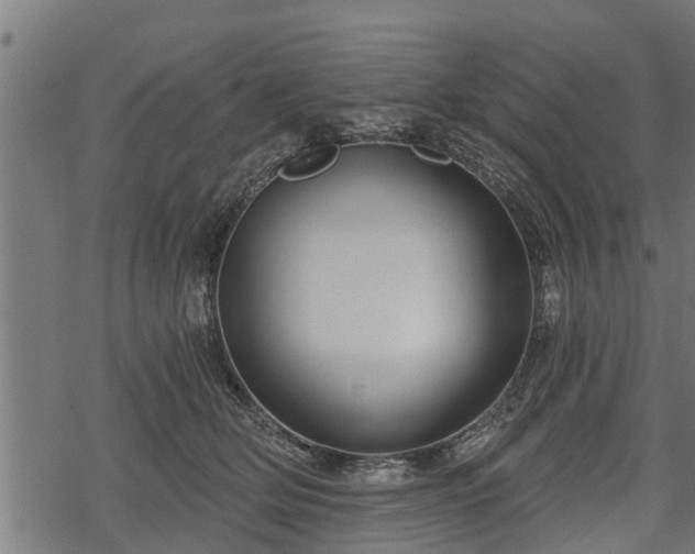 X0000068810514200605121254