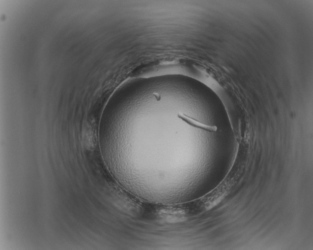 X0000068810515200605121254