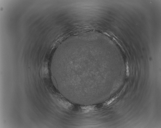 X0000068810516200605121254