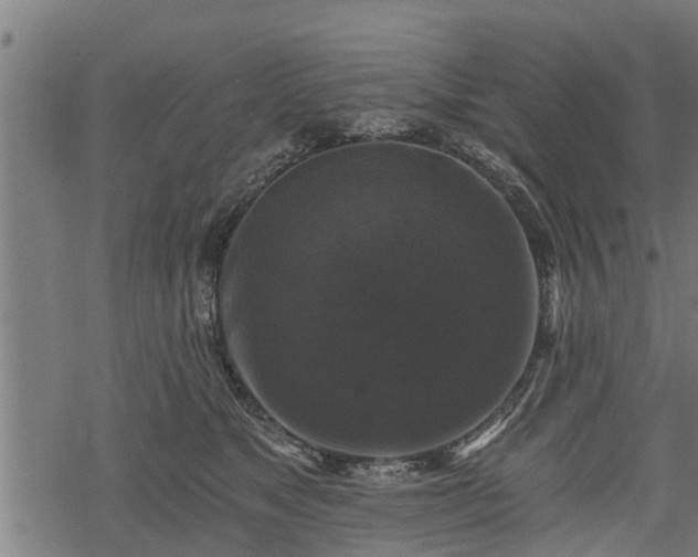 X0000068810517200605121254