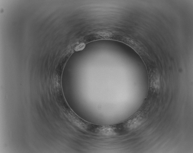 X0000068810518200605121254