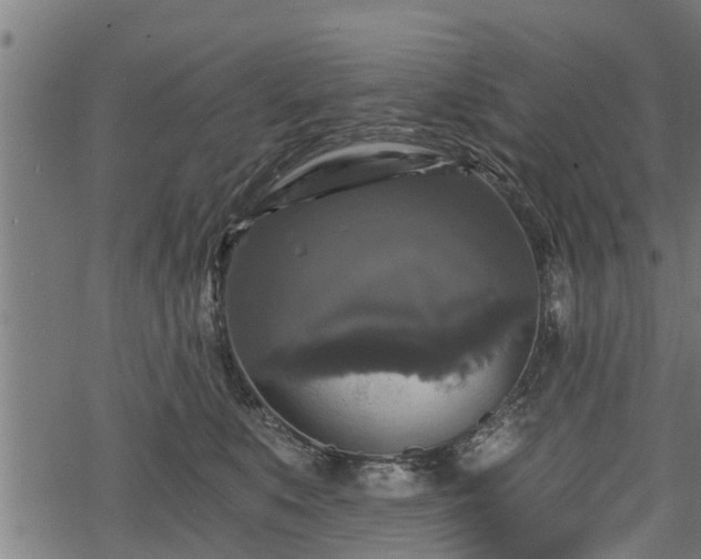 X0000068810519200605121254