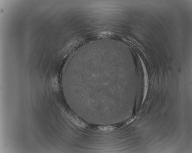 X0000068810520200605121254