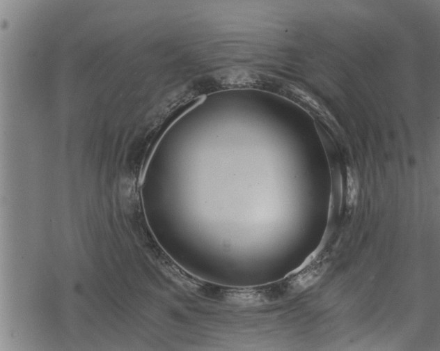 X0000068810521200605121253