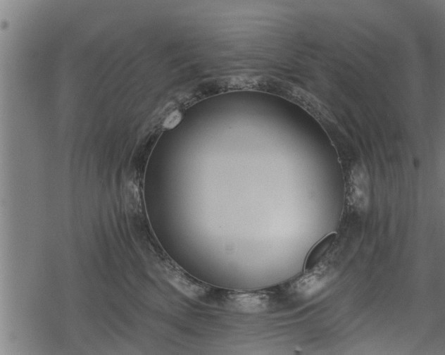 X0000068810522200605121253