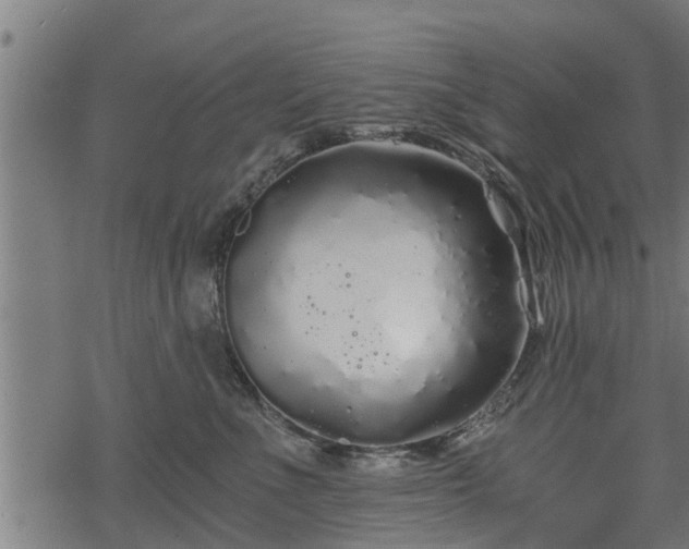 X0000068810523200605121253