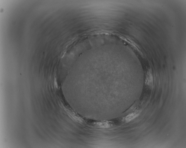 X0000068810524200605121253