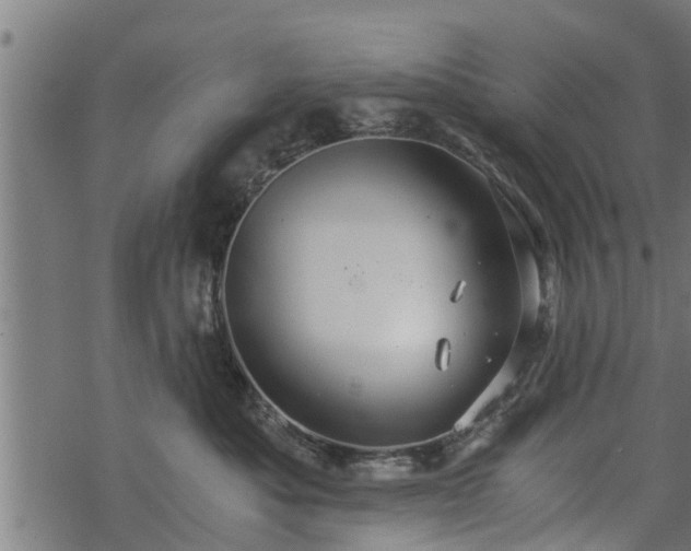 X0000068810525200605121253