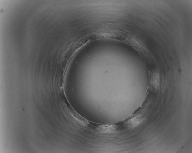 X0000068810526200605121253