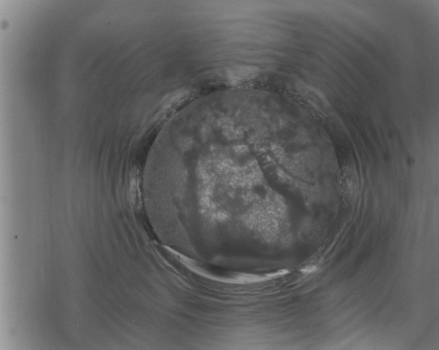 X0000068810527200605121253