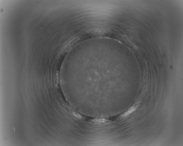 X0000068810528200605121253