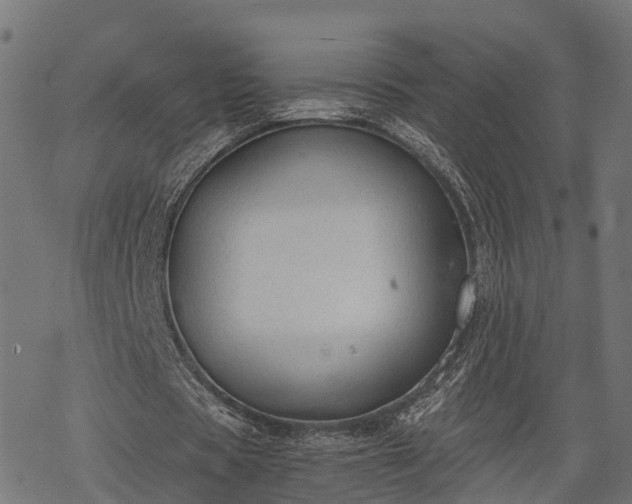 X0000068810529200605121253