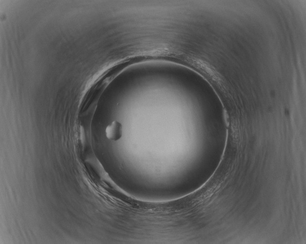 X0000068810532200605121253