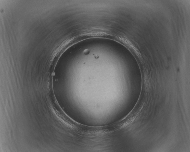 X0000068810533200605121253