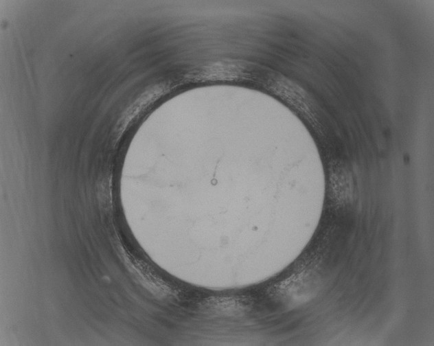 X0000068810534200605121253