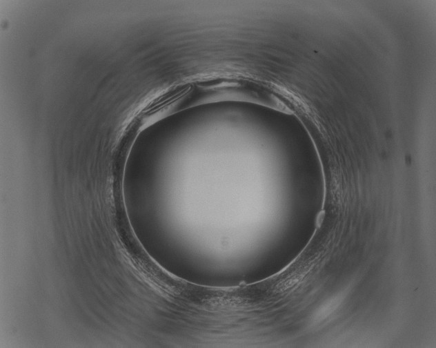 X0000068810535200605121253