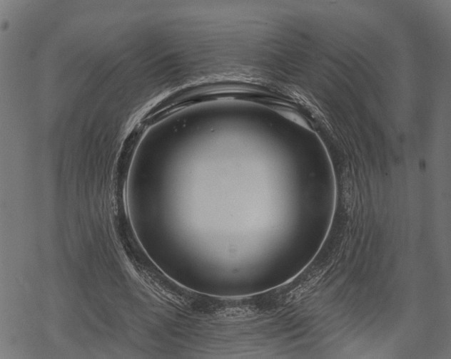 X0000068810536200605121253