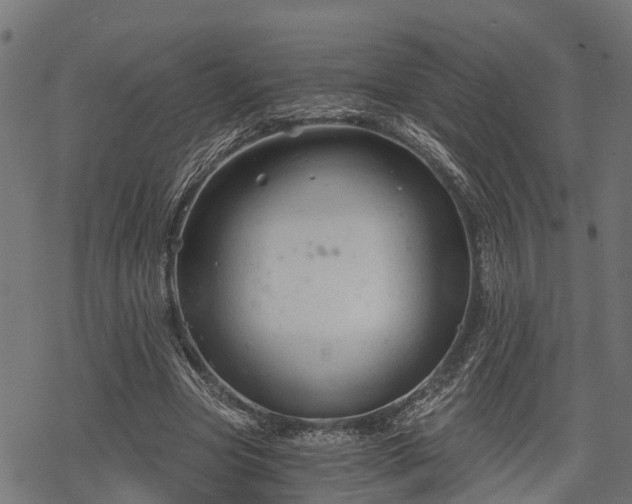 X0000068810537200605121253