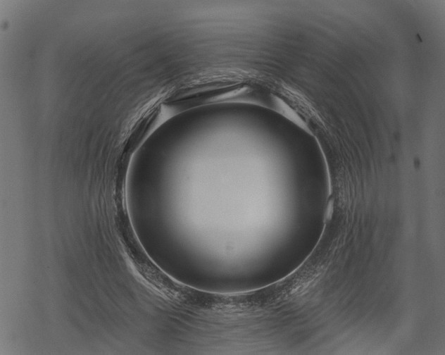 X0000068810538200605121253