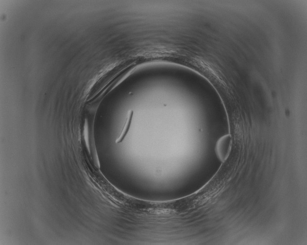 X0000068810539200605121253