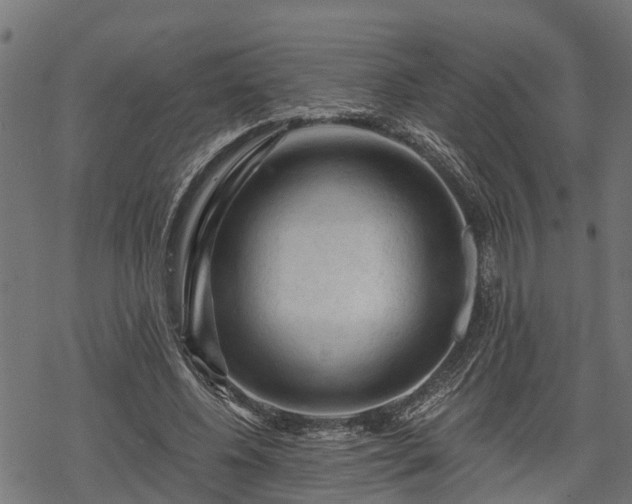 X0000068810540200605121253