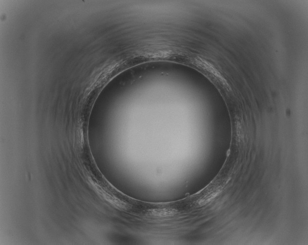 X0000068810541200605121253