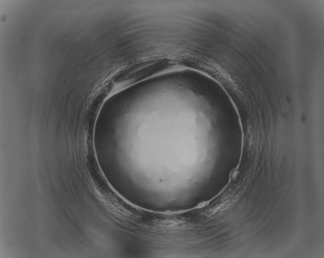 X0000068810542200605121253