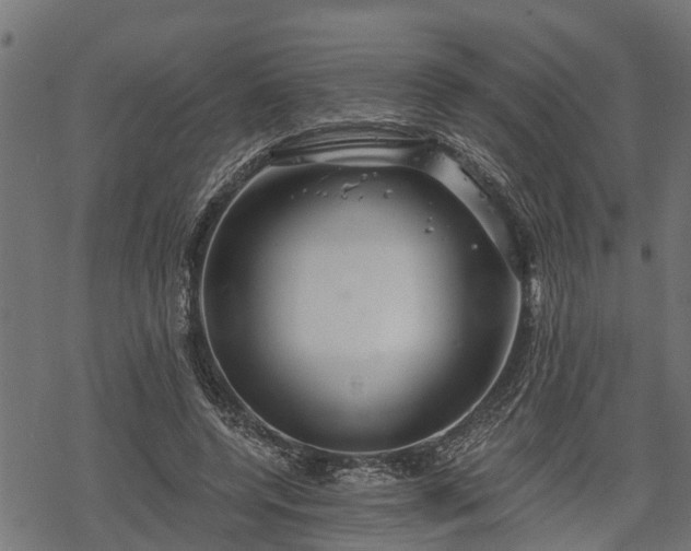 X0000068810544200605121253