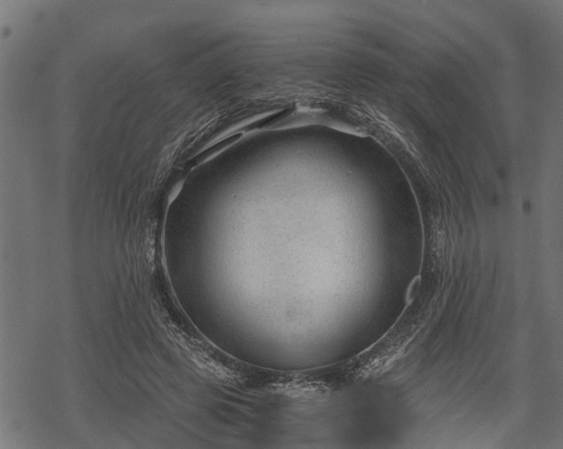 X0000068810545200605121253