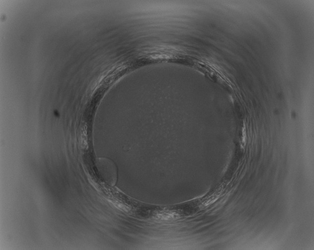 X0000068810547200605121253