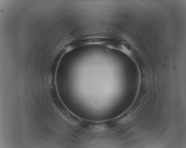 X0000068810548200605121253