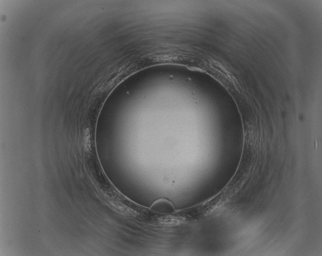 X0000068810549200605121253