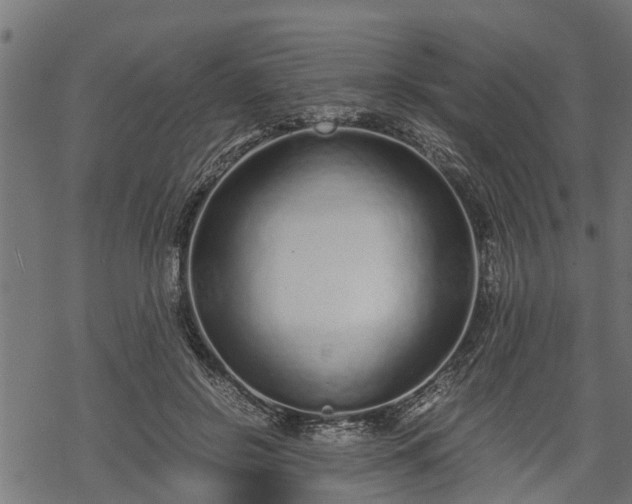 X0000068810550200605121253