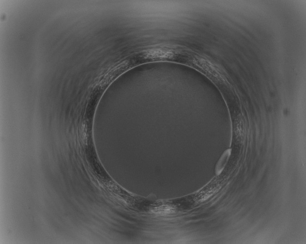 X0000068810551200605121253