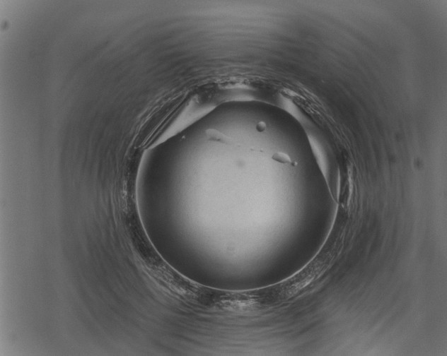 X0000068810552200605121253